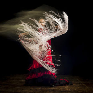 Flamenco show