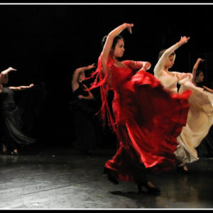 Flamenco Show