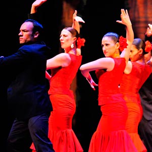 Flamenco Shows